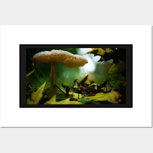 Mushroom in the Maple Leaves Posters and Art